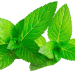 Grantons Mint-leaf